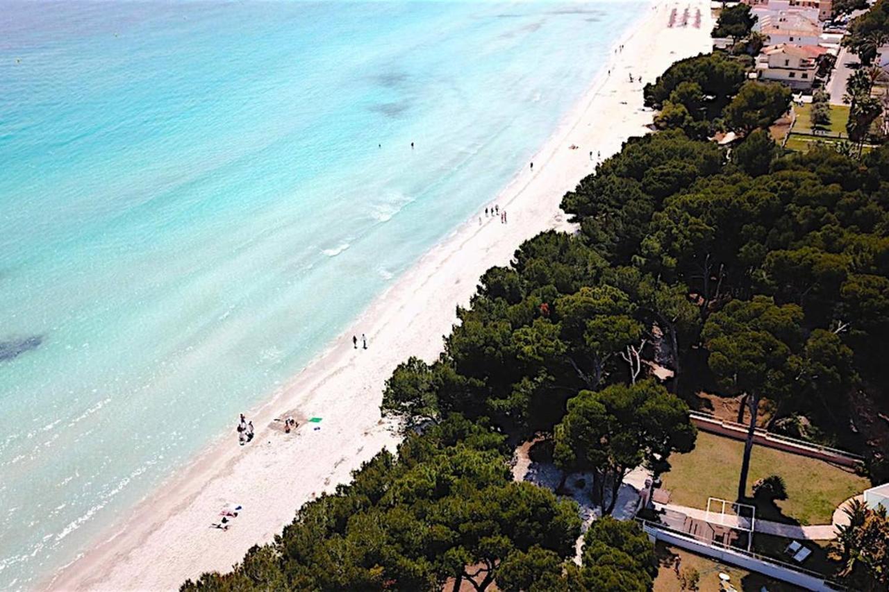 Havana Alcudia  Zewnętrze zdjęcie