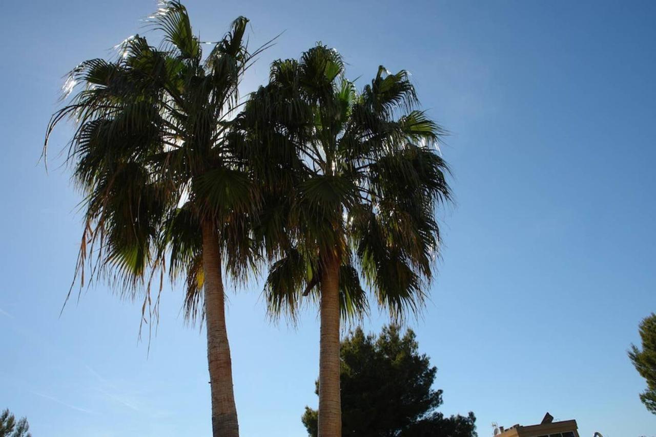 Havana Alcudia  Zewnętrze zdjęcie